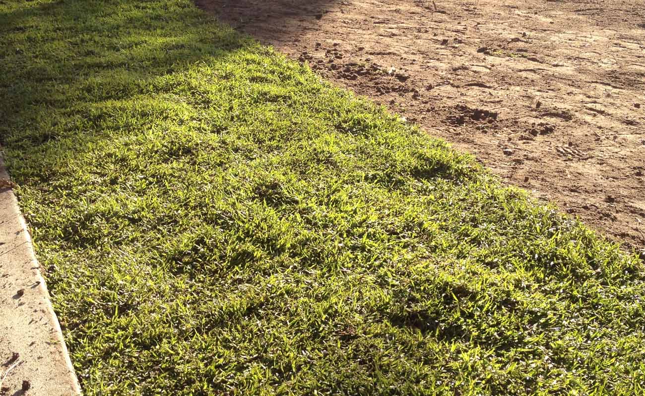 Instant turf bed preparation and laying Soona